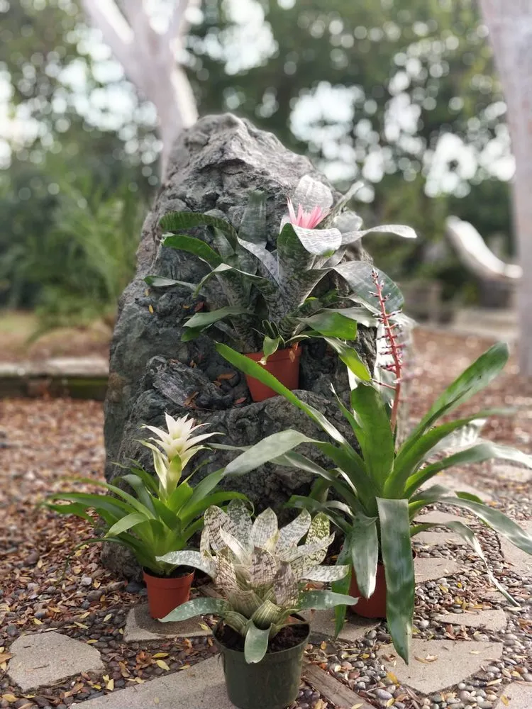 Professional landscape installation experts serving San Luis Obispo, CA - Dunn Gardens