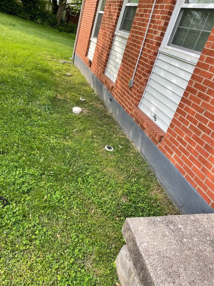 Reliable lawn care service in Louisville, KY by Dunn it all service