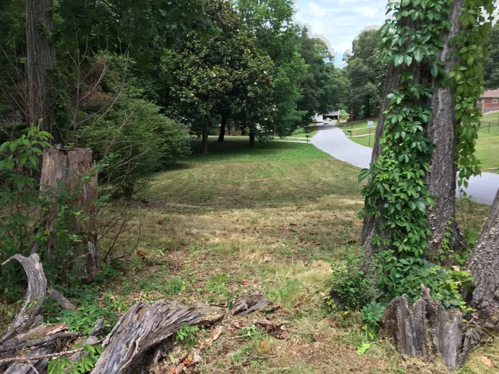 Professional lawn mowing service for year-round maintenance in Austell, GA by Dunn On Time