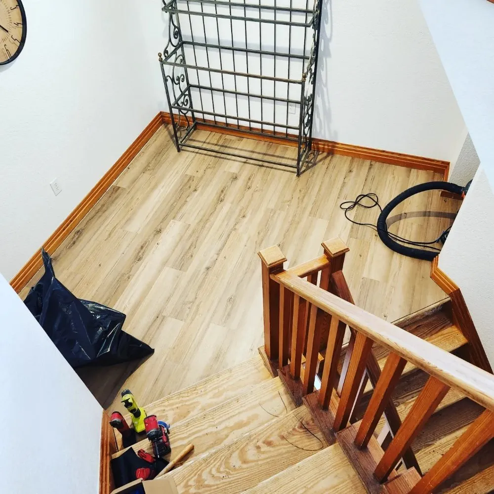 Top-rated yard cleanup service for homes across Alexandria, VA - Dunn Right