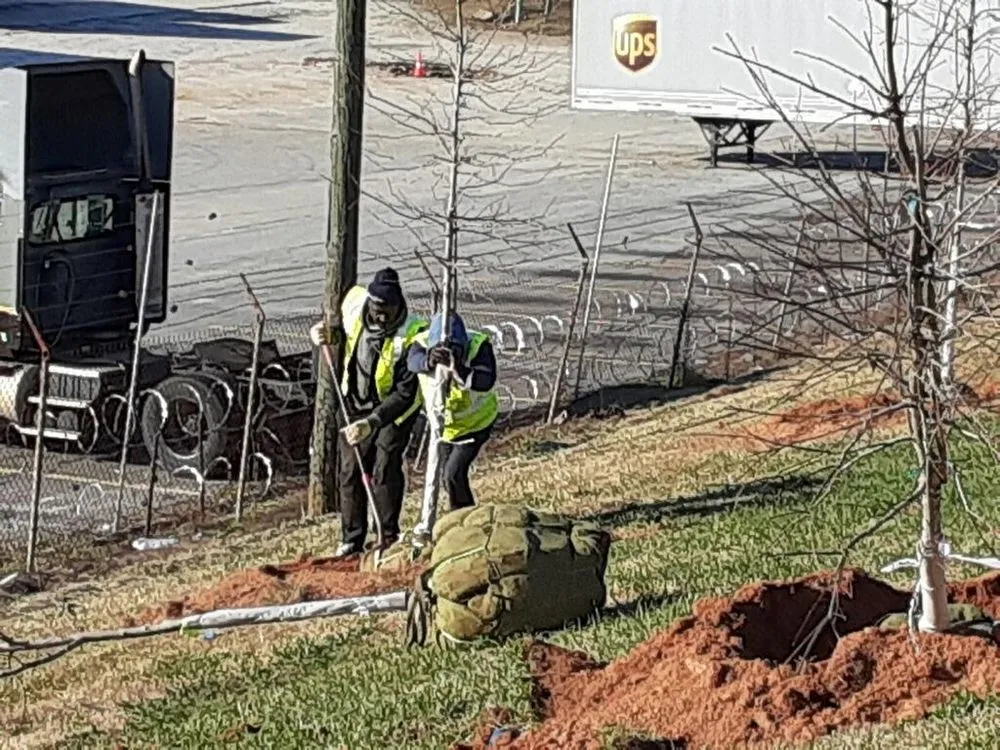 Affordable landscape design for outdoor upgrades across Cumming, GA - Dunn To Perfection