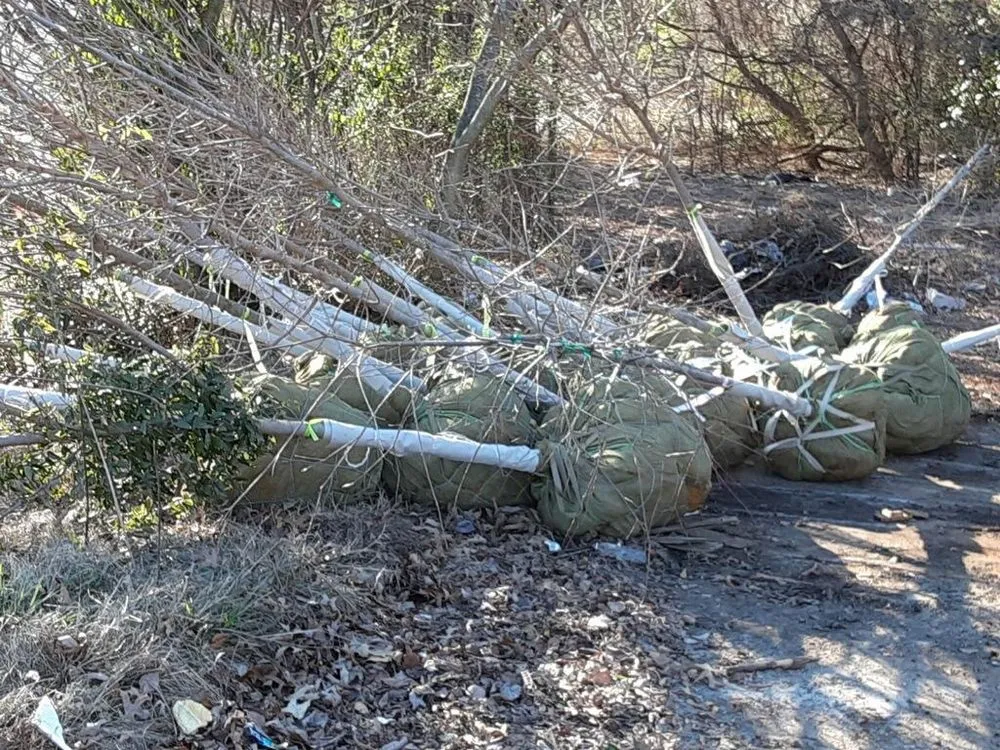 Trusted residential landscaping for year-round maintenance in Cumming, GA by Dunn To Perfection