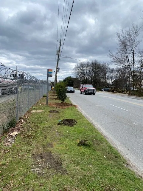 Reliable yard cleanup service for residential properties in Cumming, GA by Dunn To Perfection