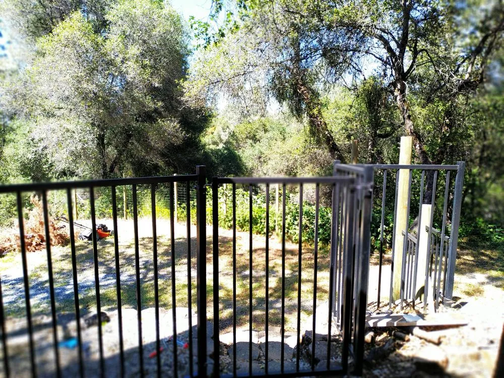 Top-rated yard cleanup service for year-round maintenance across Diamond Springs, CA - Dunn Wright Home Improvement