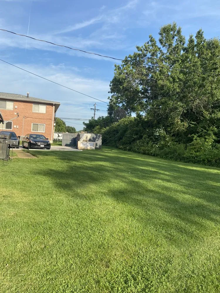 Expert landscaping services for outdoor upgrades in University City, MO by Dunn-Wright Lawn Care