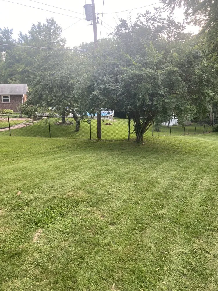 Trusted landscaping services near you in University City, MO by Dunn-Wright Lawn Care