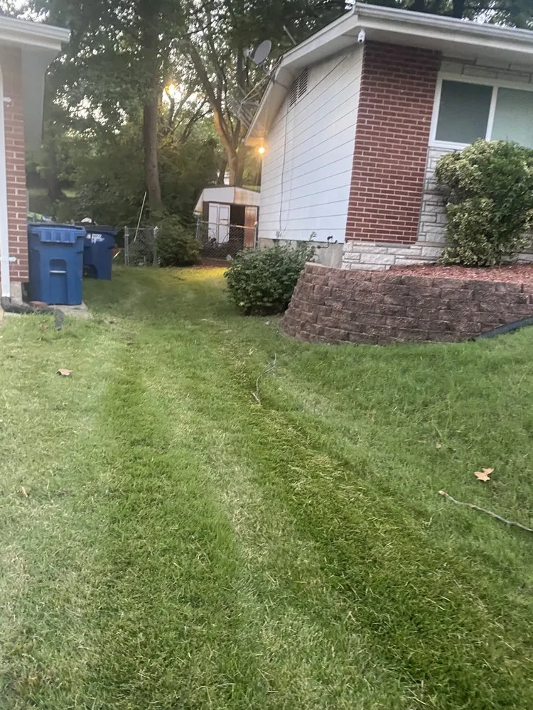 Reliable yard cleanup service in University City, MO by Dunn-Wright Lawn Care