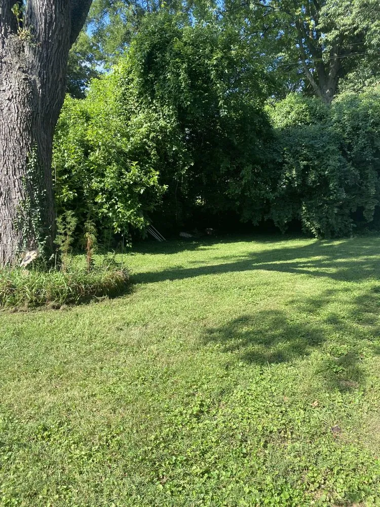 Professional landscape installation in University City, MO by Dunn-Wright Lawn Care