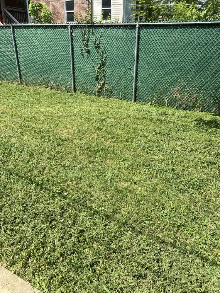 Affordable outdoor landscaping experts serving University City, MO - Dunn-Wright Lawn Care