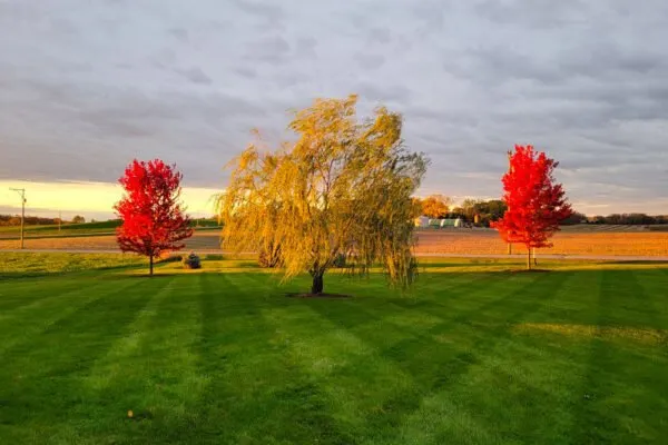 Top-rated lawn mowing service near you across Madison, WI - Dunner's Outdoor Services