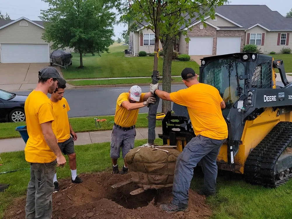 Professional yard maintenance for beautiful yards across Madison, WI - Dunner's Outdoor Services