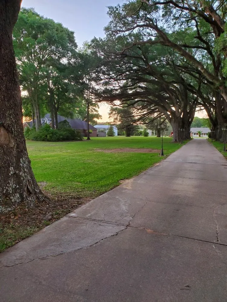 Local residential landscaping in Grand Bay, AL by Dunning Lawn Care