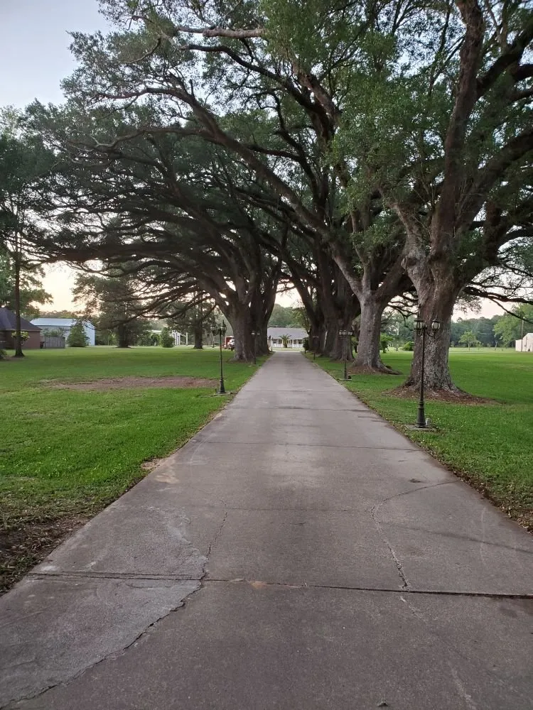 Custom outdoor landscaping in Grand Bay, AL by Dunning Lawn Care