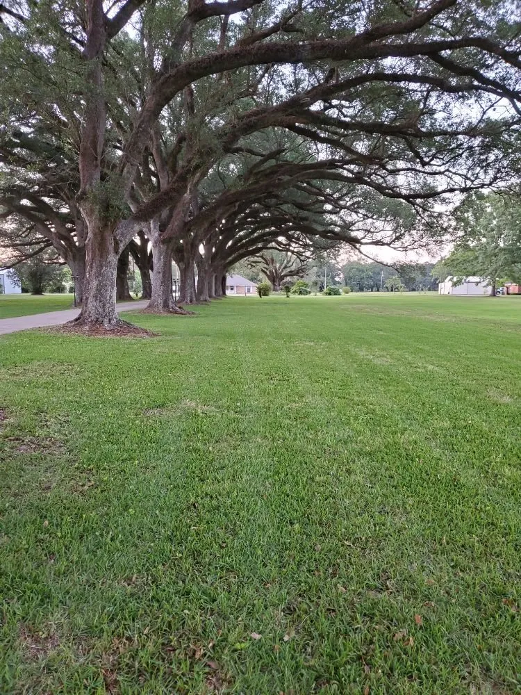 Custom landscape design for outdoor upgrades in Grand Bay, AL by Dunning Lawn Care