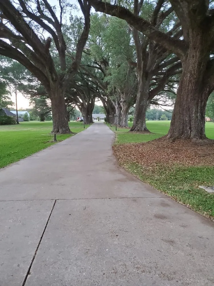 Expert garden landscaping experts serving Grand Bay, AL - Dunning Lawn Care