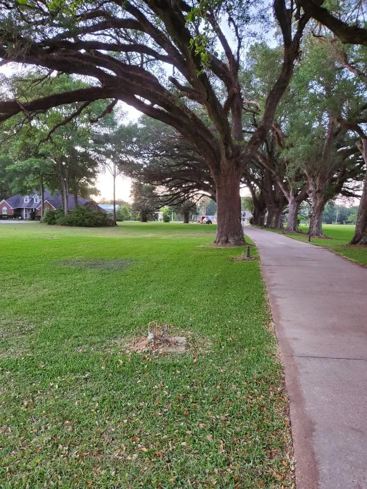 Professional yard maintenance for homes across Grand Bay, AL - Dunning Lawn Care