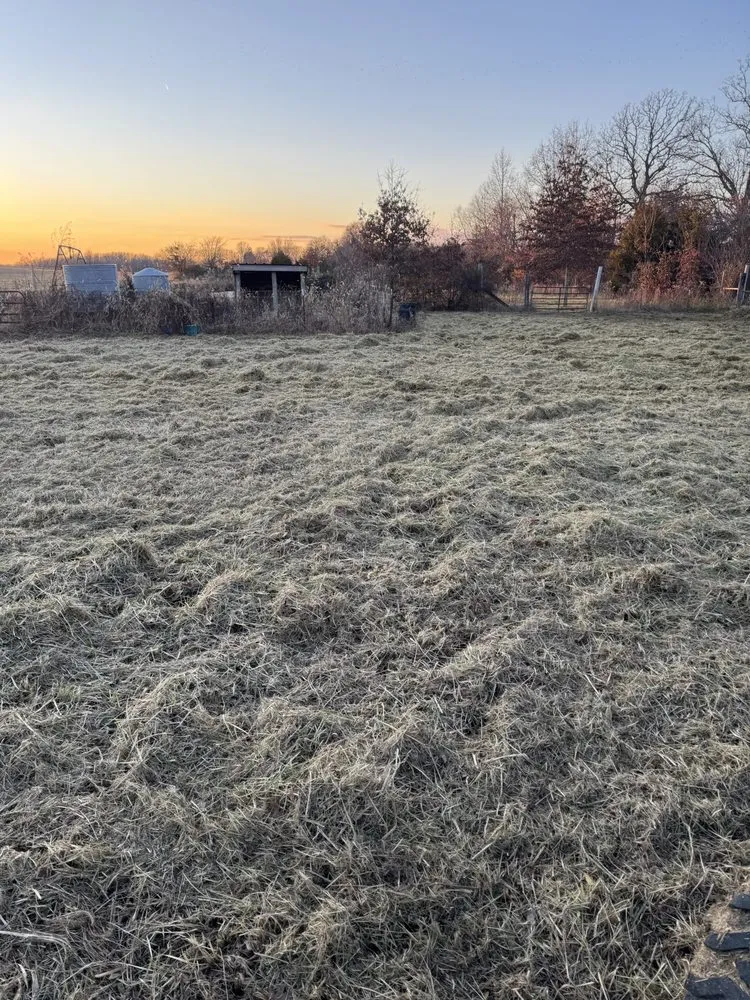 Professional outdoor landscaping in Harrisburg, IL by Dunning’s Land Improvement