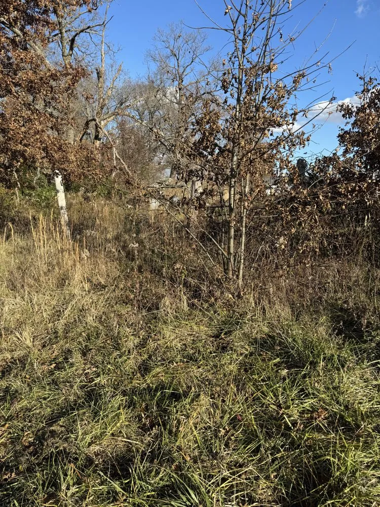 Reliable landscape design in Harrisburg, IL - Dunning’s Land Improvement