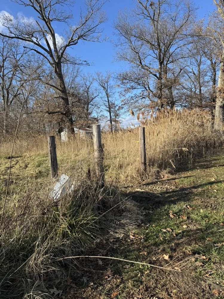 Expert garden landscaping in Harrisburg, IL - Dunning’s Land Improvement