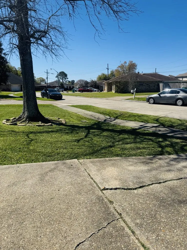 Affordable outdoor landscaping in Gretna, LA by DunnRight Lawncare Service & Car Washing