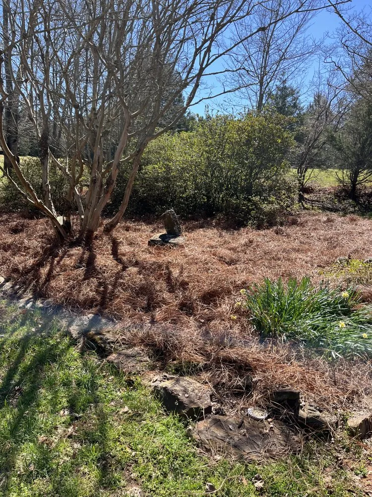 Trusted yard maintenance for year-round maintenance in Anderson, SC by Dunn’s Landscaping