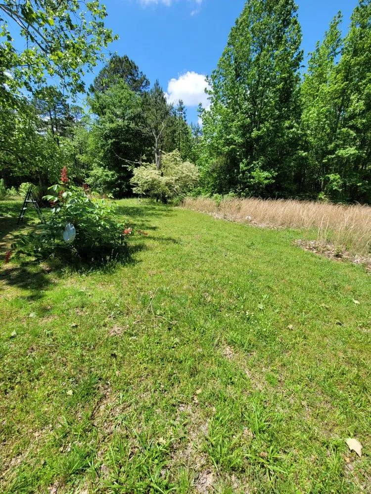 Affordable landscape design in Amity, AR - Dunn's Lawn Care