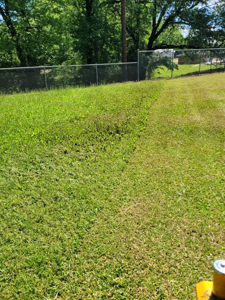 Expert landscaping services for year-round maintenance in Amity, AR by Dunn's Lawn Care