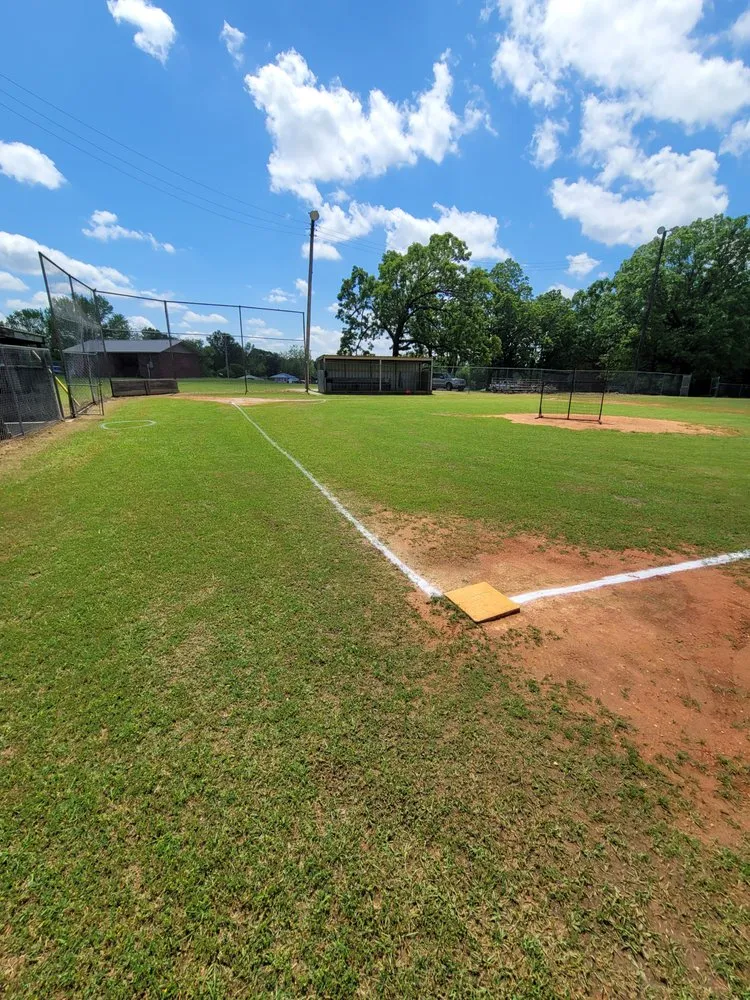 Top-rated lawn care service for residential properties across Amity, AR - Dunn's Lawn Care