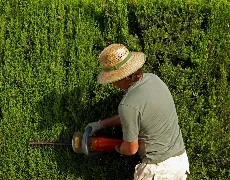 Professional outdoor landscaping for beautiful yards across Vincennes, IN - Dunn's Lawncare & Landscape