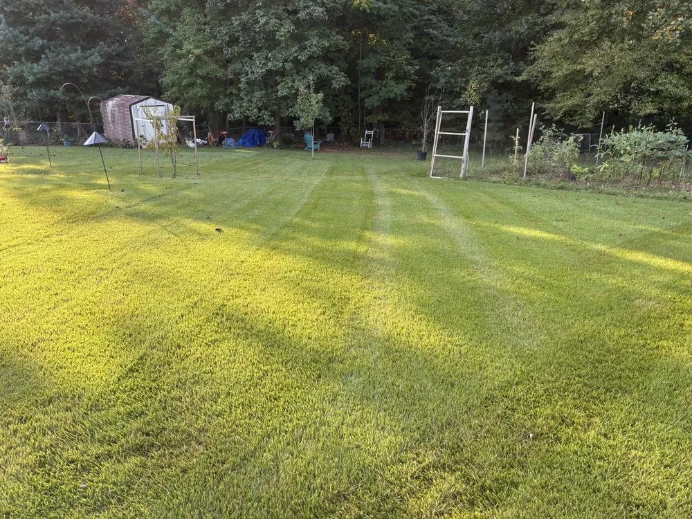 Top-rated landscaping services in High Point, NC - Dunns Mowing Service