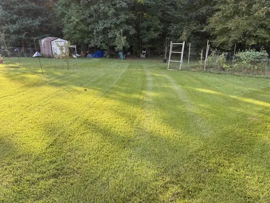 Dunns Mowing Service Logo