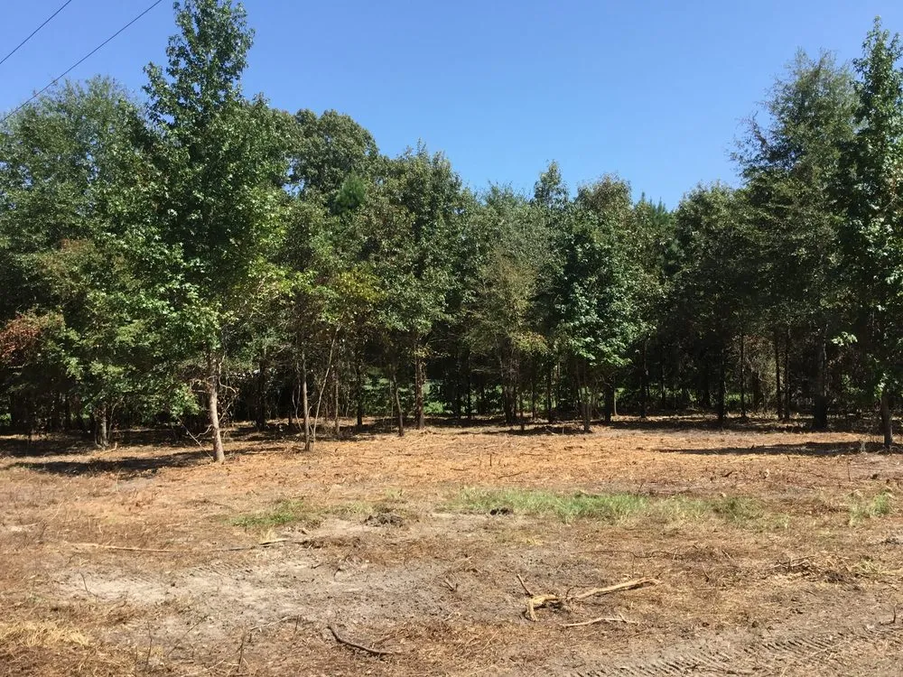 Affordable lawn care service for beautiful yards in Flint, TX by DunRite Mulching