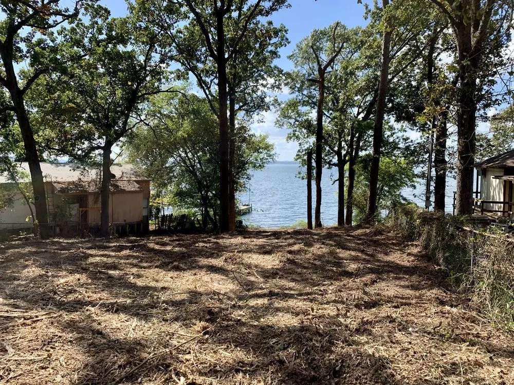 Expert yard cleanup service in Flint, TX - DunRite Mulching