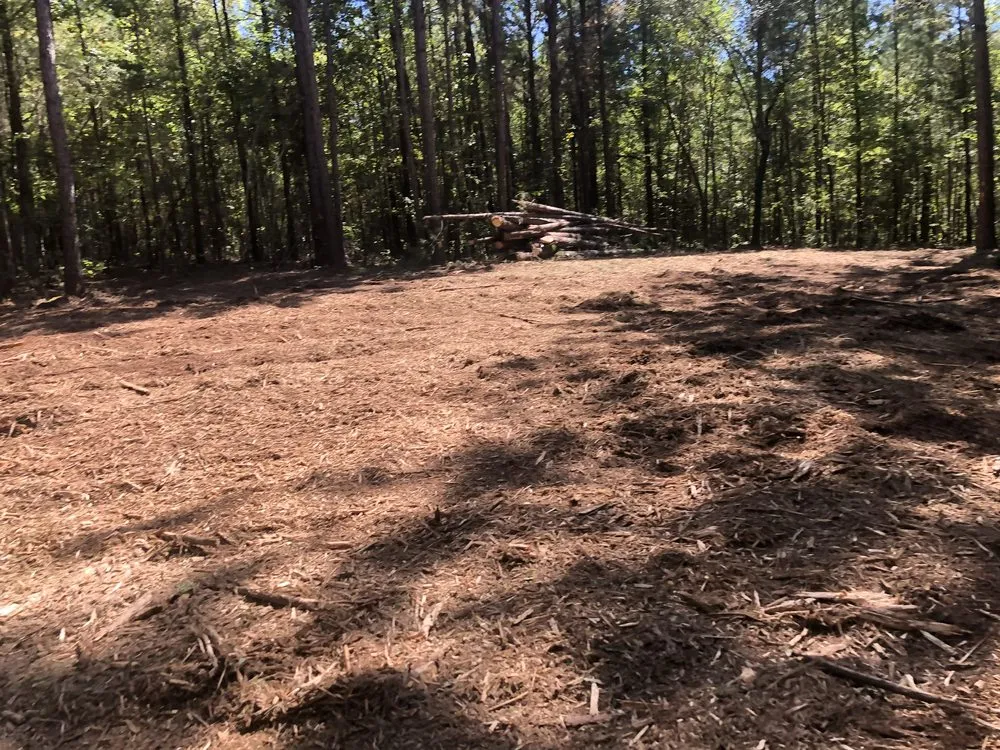 Reliable lawn mowing service near you in Flint, TX by DunRite Mulching