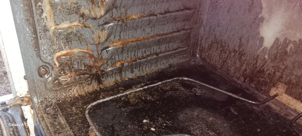 Local landscape design for outdoor upgrades across Lanett, AL - Dunson's Residential and Commercial Kleanin