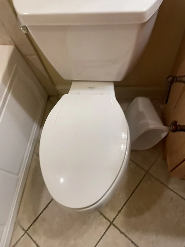 Affordable landscaping services in Gulfport, MS by Duo services