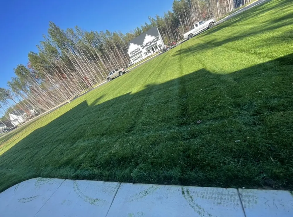 Professional lawn care service for residential properties in Richmond, VA by Duober Lawn Care