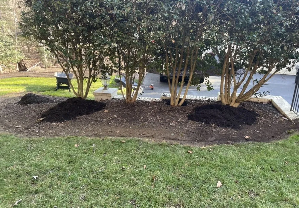 Professional landscaping services in Richmond, VA by Duober Lawn Care