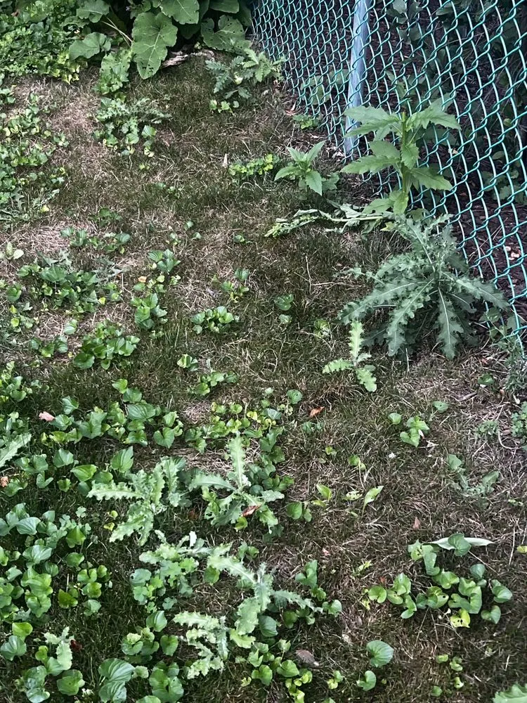 Trusted residential landscaping in Lombard, IL - Dupage Lawn Care