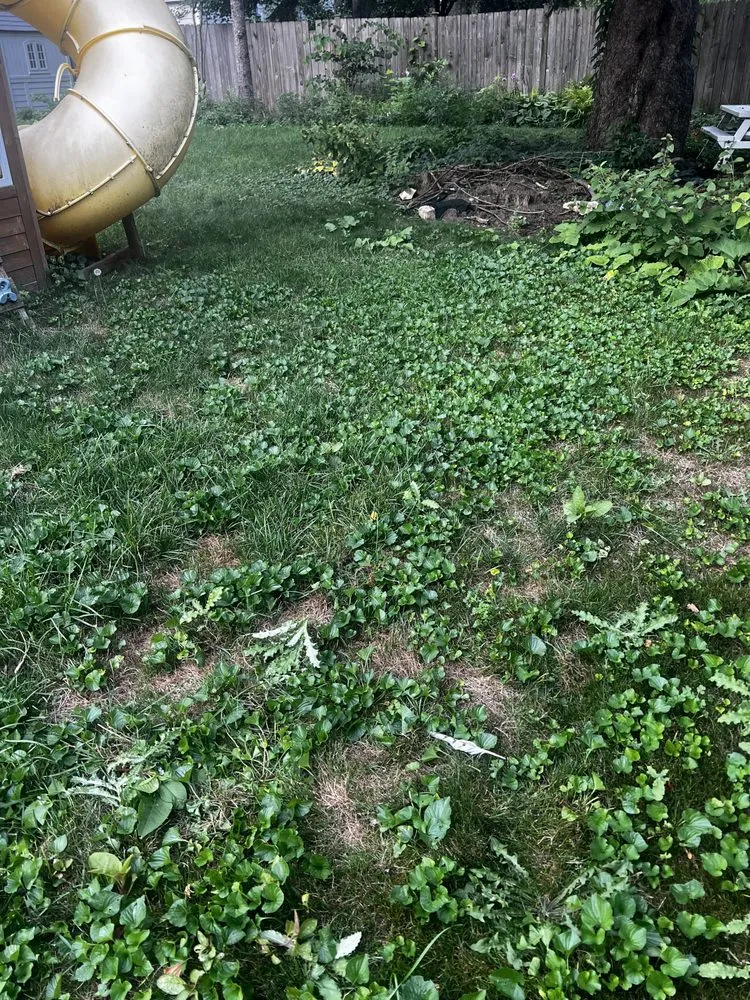 Top-rated outdoor landscaping experts serving Lombard, IL - Dupage Lawn Care