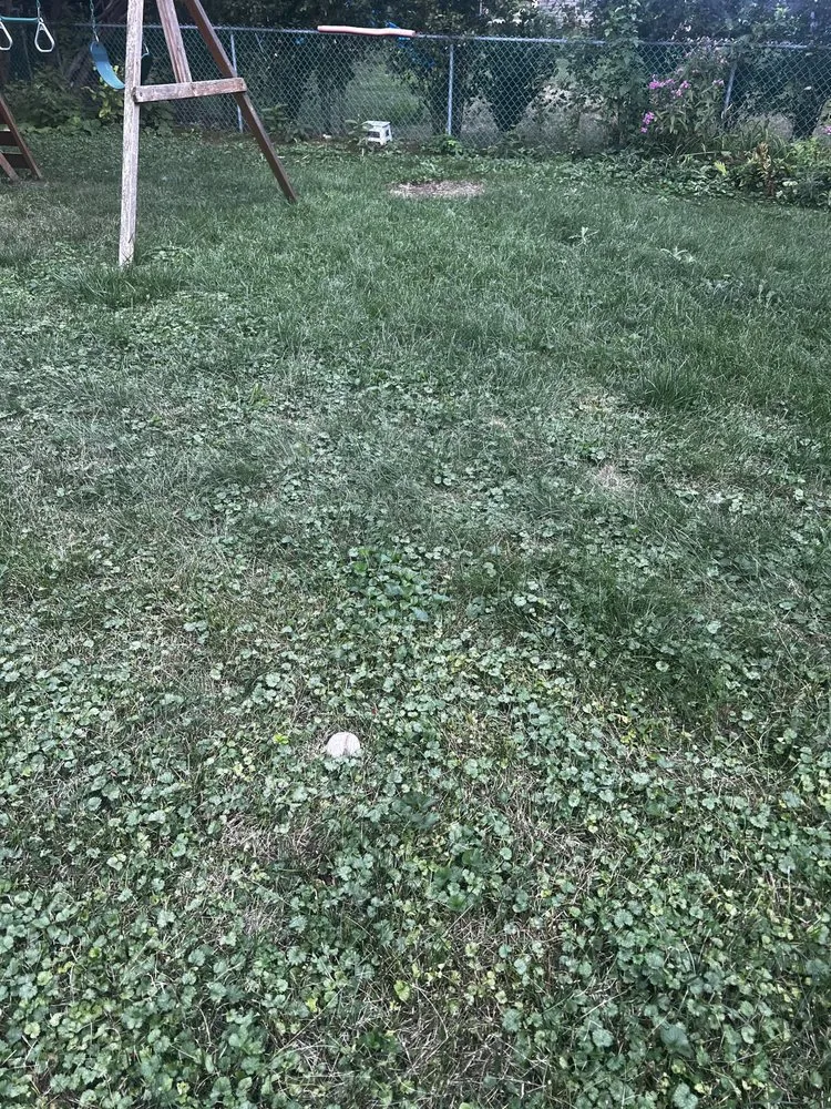 Trusted garden landscaping in Lombard, IL - Dupage Lawn Care