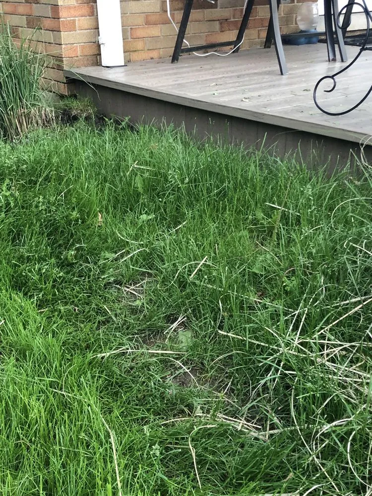 Professional yard cleanup service experts serving Lombard, IL - Dupage Lawn Care