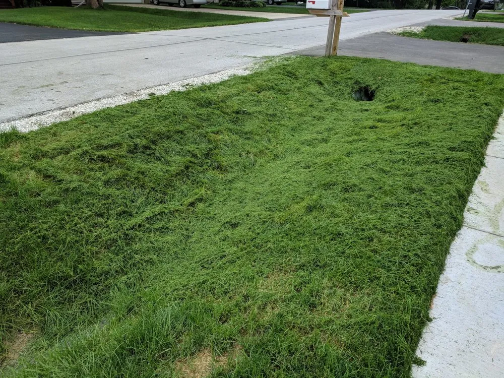 Custom yard maintenance experts serving Lombard, IL - Dupage Lawn Care