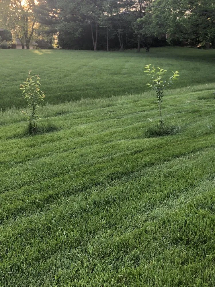 Reliable yard cleanup service in Lombard, IL by Dupage Lawn Care