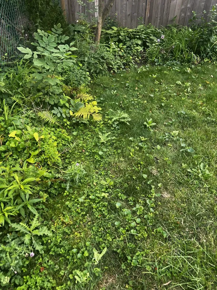 Affordable residential landscaping for year-round maintenance across Lombard, IL - Dupage Lawn Care