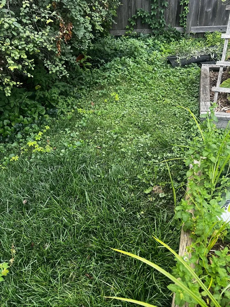 Affordable garden landscaping in Lombard, IL by Dupage Lawn Care