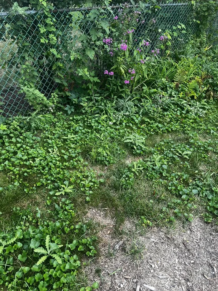 Affordable residential landscaping for beautiful yards across Lombard, IL - Dupage Lawn Care