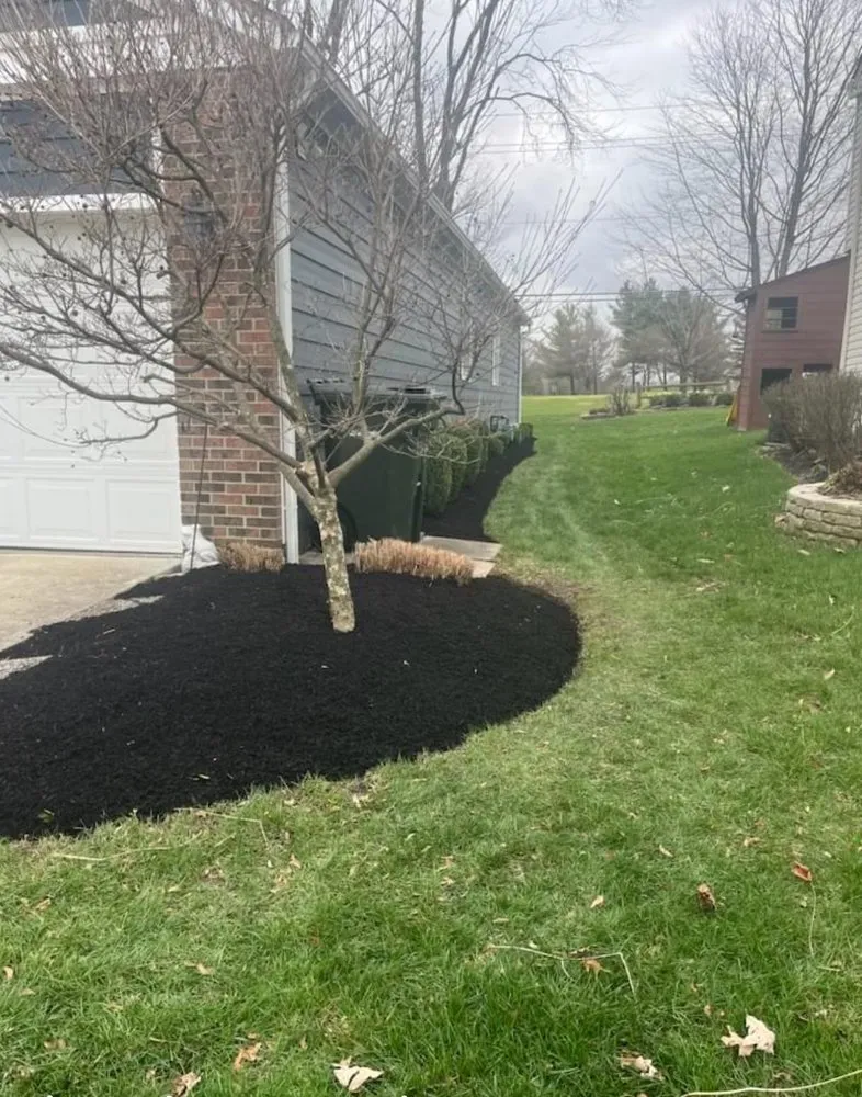 Affordable landscaping services for residential properties across Brockton, MA - Duponvile 1k Services