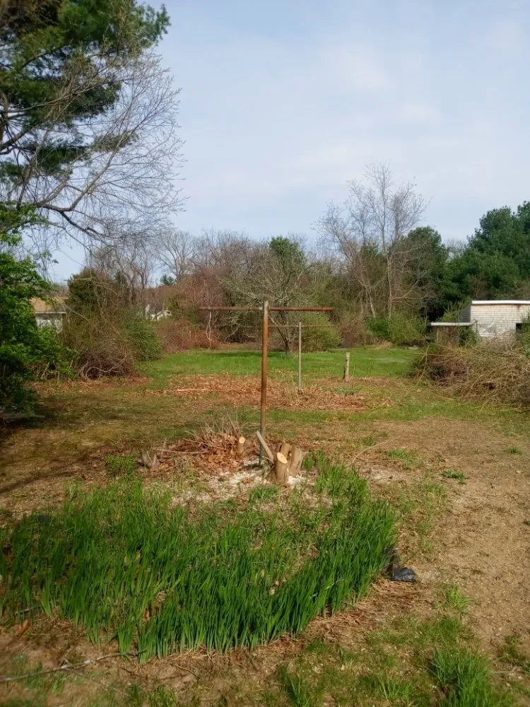 Professional lawn mowing service near you in Taunton, MA by Dupree Handyman Services