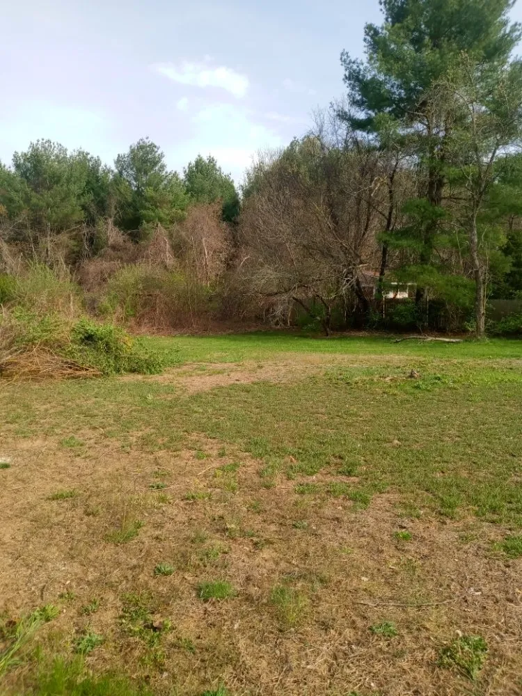 Affordable lawn care service for year-round maintenance across Taunton, MA - Dupree Handyman Services